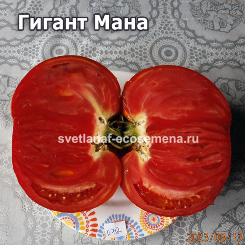 Гигант Мана  (Gigante Mana)