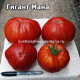 Гигант Мана  (Gigante Mana)