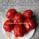 Fragola  rosata (Розовая клубника)