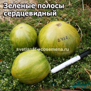 Зеленые полосы  сердцевидный