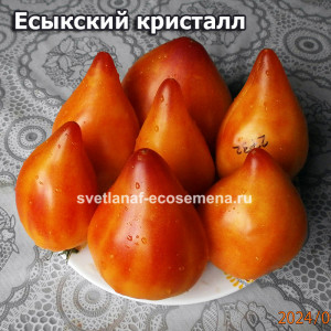 Есыкский кристалл 