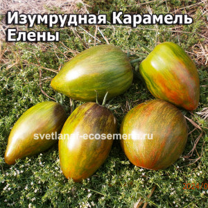 Изумрудная Карамель Елены