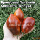 Бронзовые Пальчики Сержанта Пеппера