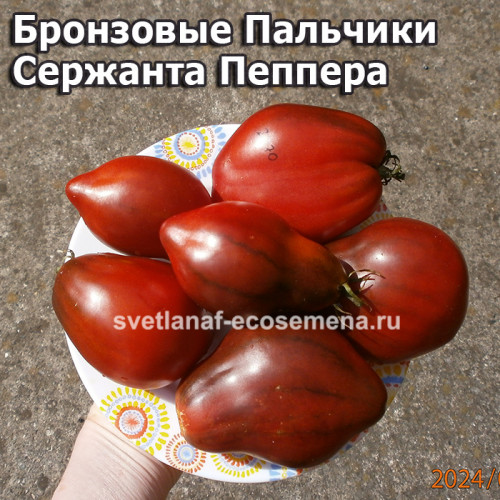 Бронзовые Пальчики Сержанта Пеппера