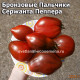 Бронзовые Пальчики Сержанта Пеппера