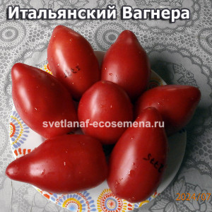 Итальянский Вагнера (Wagner’s Italian)