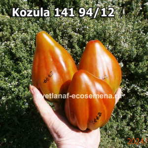 Kozula 141 94/12