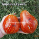 Баранья Сумка (Borsa di Montone)