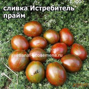 сливка Истребитель прайм Ф4