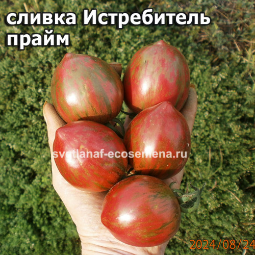 сливка Истребитель прайм Ф4