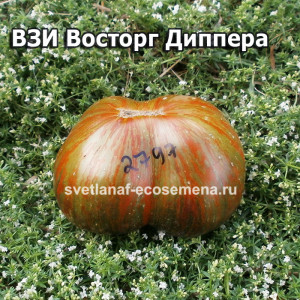 ВЗИ Восторг Диппера (Rebel Starfighter Dipper's Delight Dwarf)