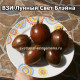 ВЗИ Лунный Свет Блэйна