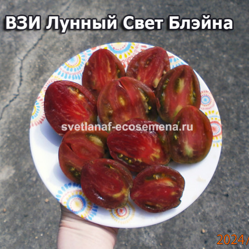 ВЗИ Лунный Свет Блэйна