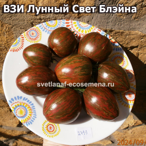 ВЗИ Лунный Свет Блэйна