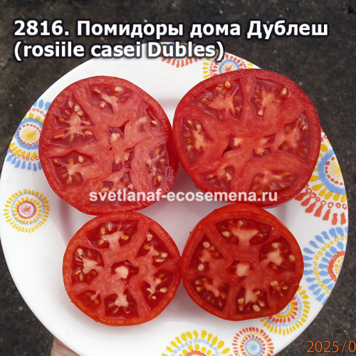 Помидоры дома Дублеш  (rosiile casei Dubles)