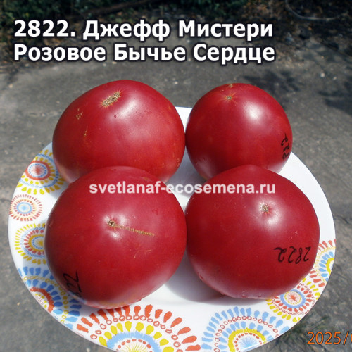 Джефф Мистери Розовое Бычье Сердце (Jeff Mystery Pink Oxheart)