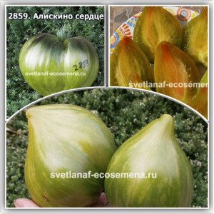  Алискино сердце