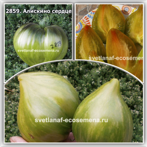 Алискино сердце