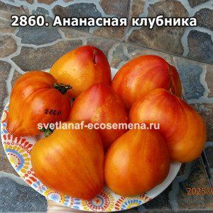 Ананасная клубника