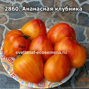 Ананасная клубника