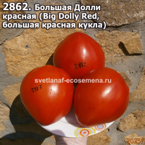 Большая Долли  красная (Big Dolly Red,  большая красная кукла)