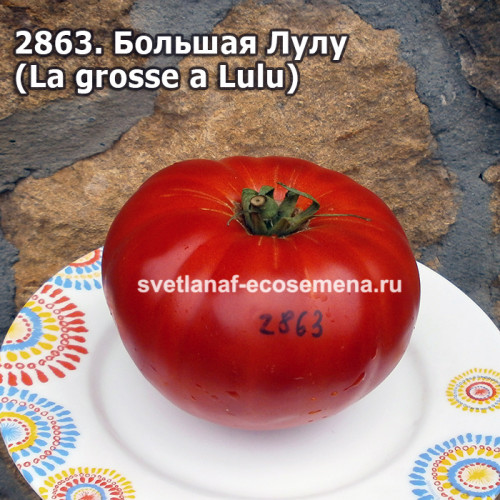 Большая Лулу (La grosse a Lulu)