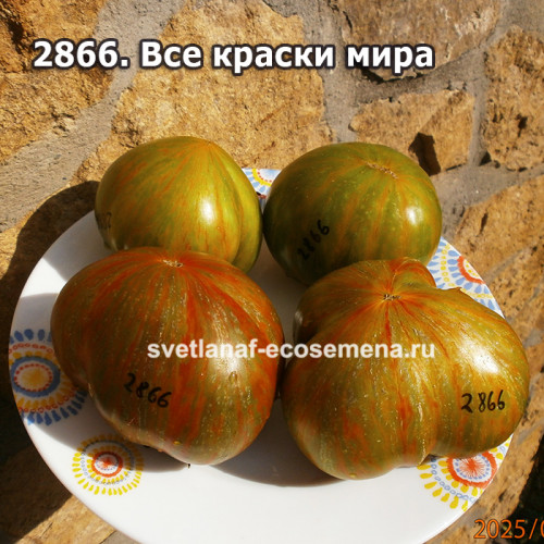 Все краски мира