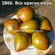 Все краски мира