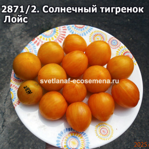 Гном Солнечный тигренок  Лойс