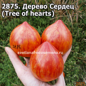Дерево Сердец (Tree of hearts)