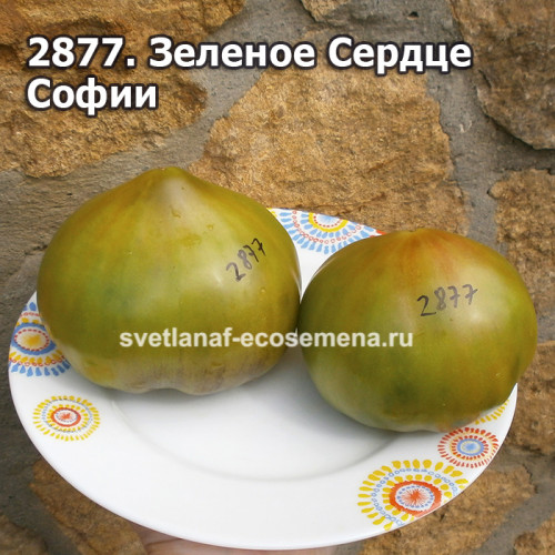 Зеленое Сердце Софии