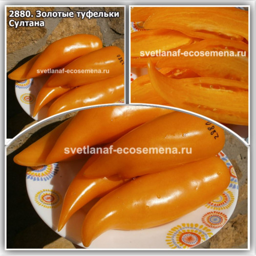 Золотые туфельки Султана