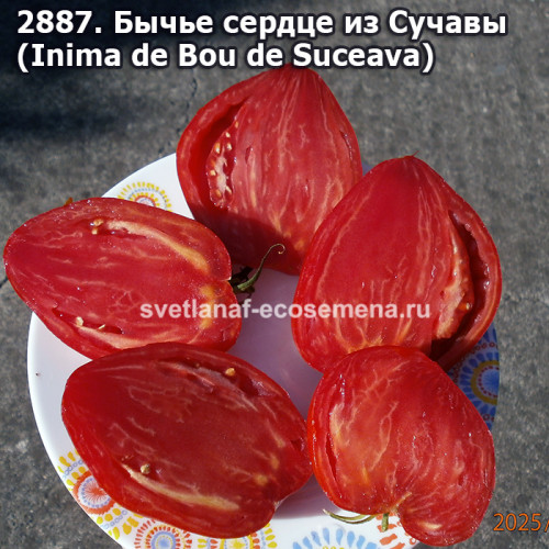 Бычье сердце из Сучавы (Inima de Bou de Suceava)