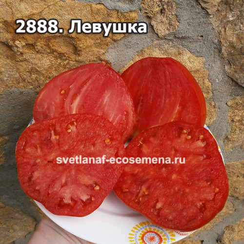 Левушка