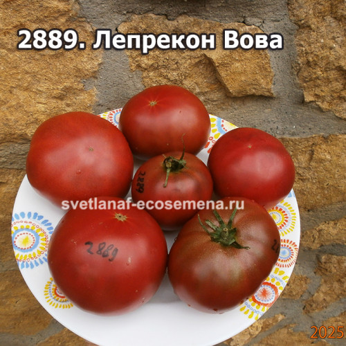 Лепрекон Вова