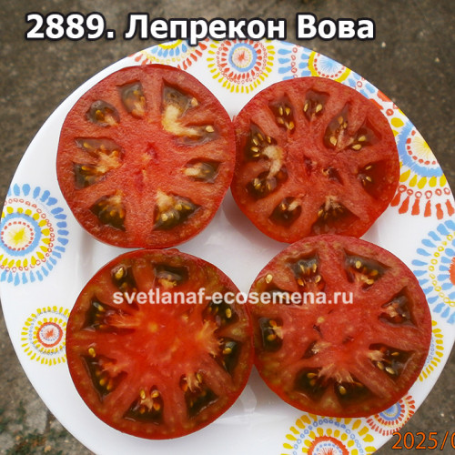 Лепрекон Вова