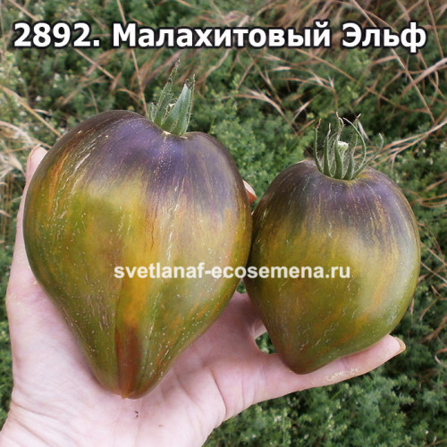 Малахитовый Эльф