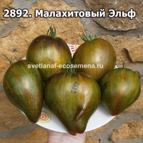 Малахитовый Эльф