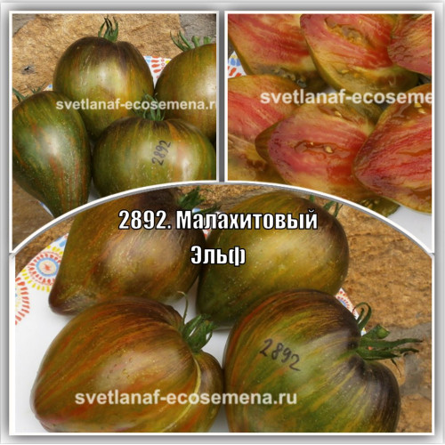 Малахитовый Эльф