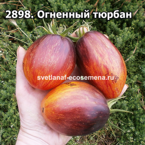 Огненный Тюрбан