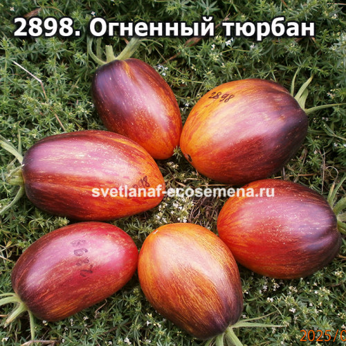 Огненный Тюрбан
