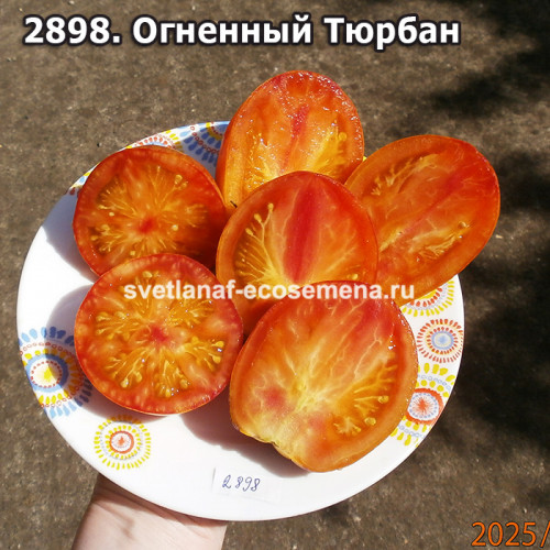 Огненный Тюрбан