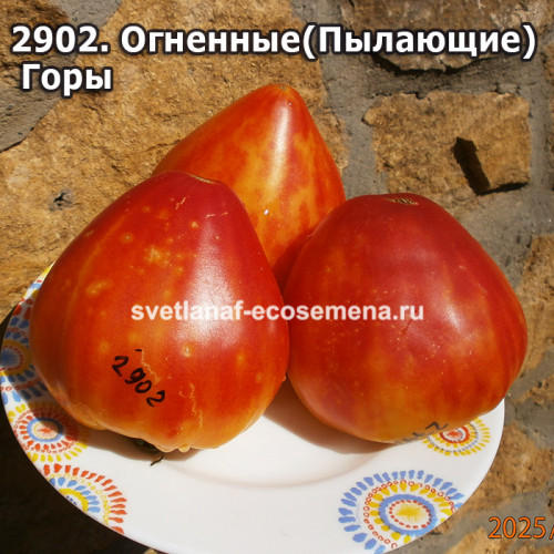 Огненные (Пылающие) Горы (Fiery Mountains)