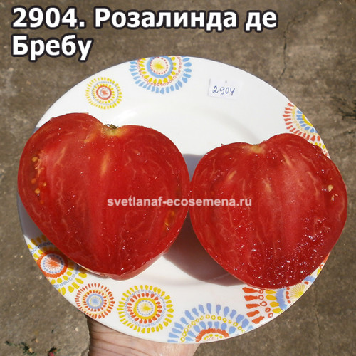 Розалинда де Бребу (Rozalinda de Brebu)