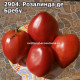 Розалинда де Бребу (Rozalinda de Brebu)