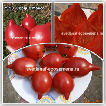 Сердце Макса  (Max’s heart)