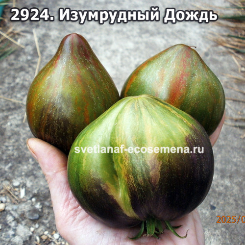  Изумрудный Дождь