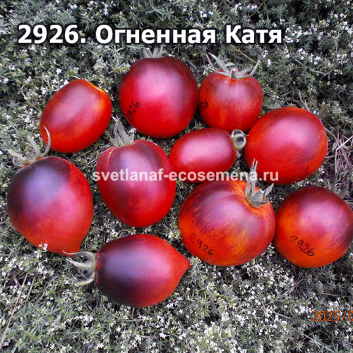 Огненная Катя