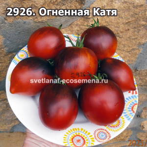 Огненная Катя