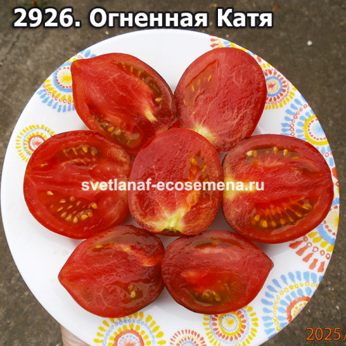 Огненная Катя